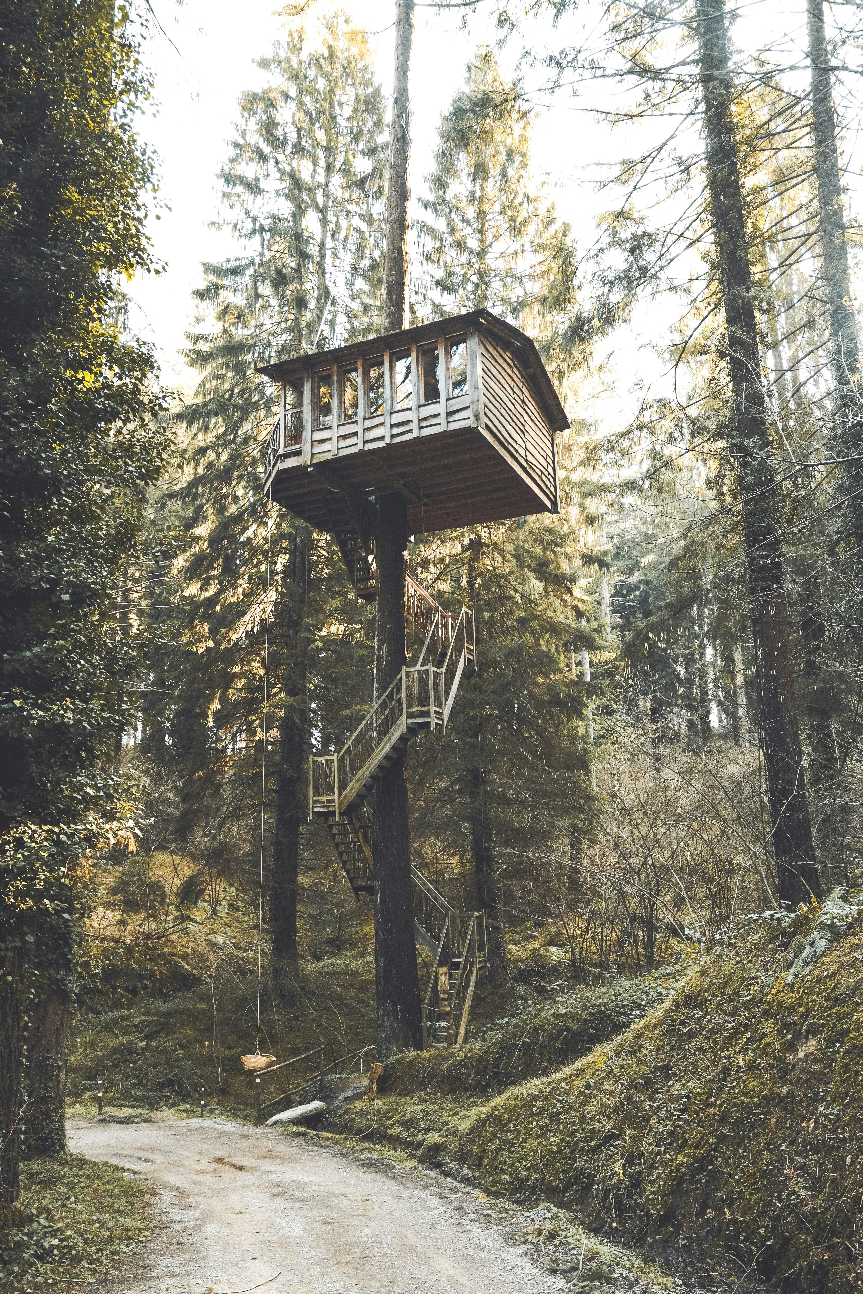 gray and brown wooden tree houose